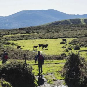 Ruta Cabalar