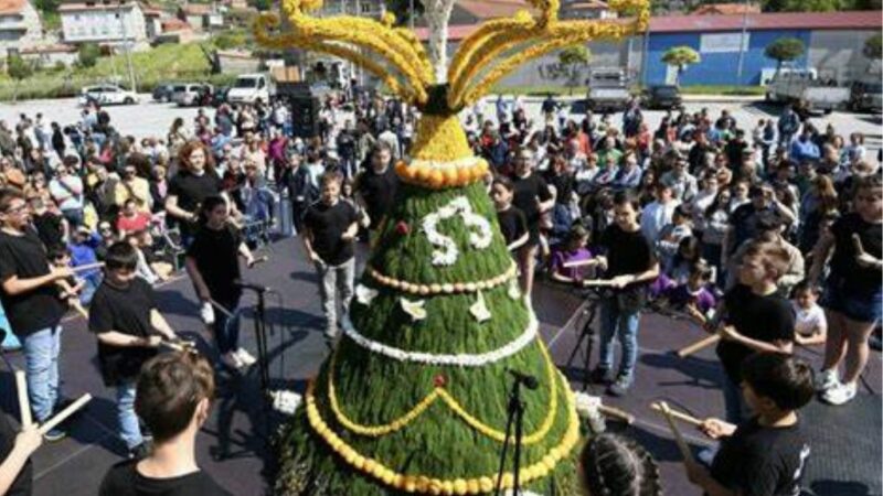 Festa Dos Maios
