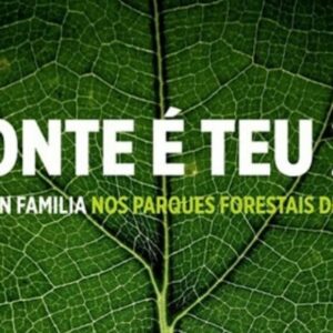 El Programa ‘o Monte é Teu’, Organizado Por La Concejalía De Montes De Pontevedra, Regresa Un Año Más Para Acercar La Naturaleza A Toda La Ciudadanía. Esta Iniciativa, Ya Consolidada, Ofrece Una A (1)