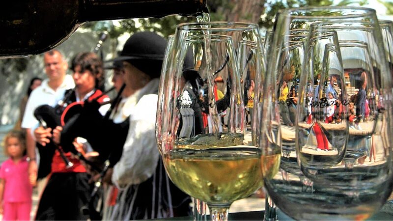 Albariño 2025