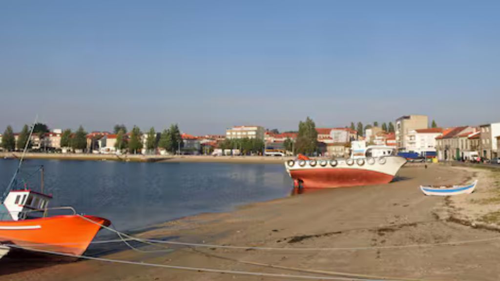 San Juan De Castrelos Cambados 2025