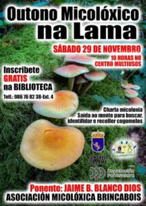 Outono Micolóxico