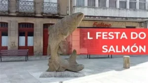 Festa Do Salmón