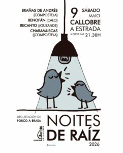 Noites De Raiz