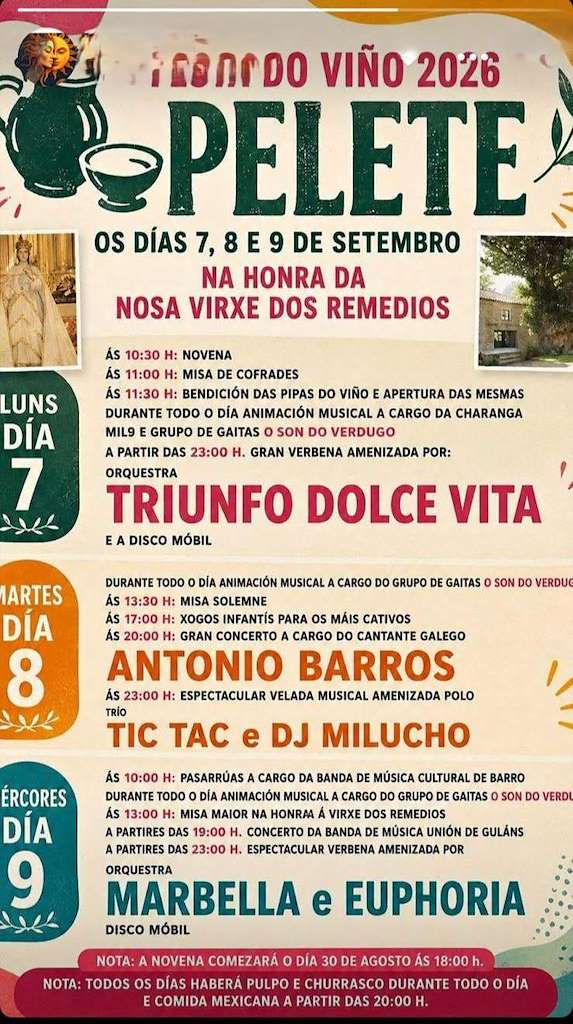 Festa Do Viño Do Pelete